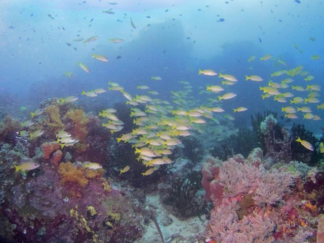 Nomad Divers Bangka Likupang Esterno foto