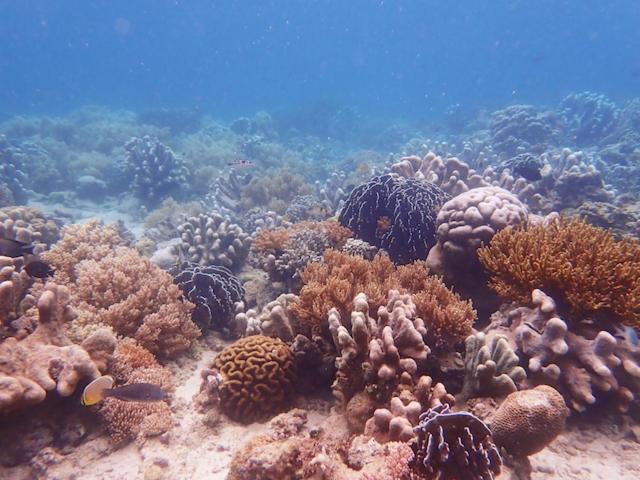 Nomad Divers Bangka Likupang Esterno foto